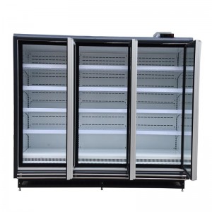 Online Exporter Upright Double Door Freezer - Remote Type Glass Door Display Freezer – Sanao