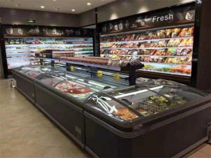 High Quality 04 Model Frozen Food Meat Island Freezer