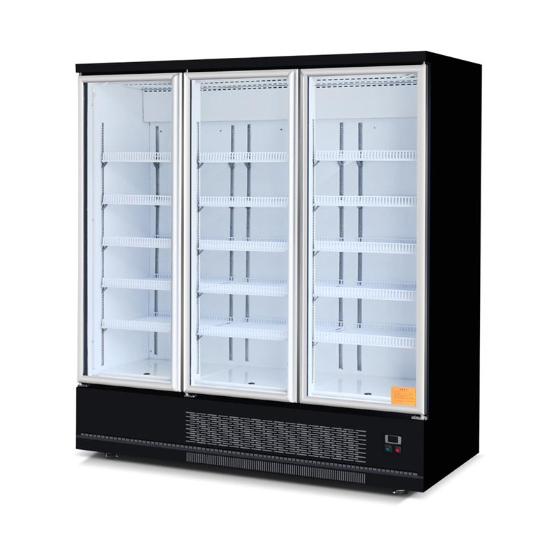 OEM Customized Air Curtain Display Case - Plug In Type Upright Glass Door Chiller – Sanao detail pictures