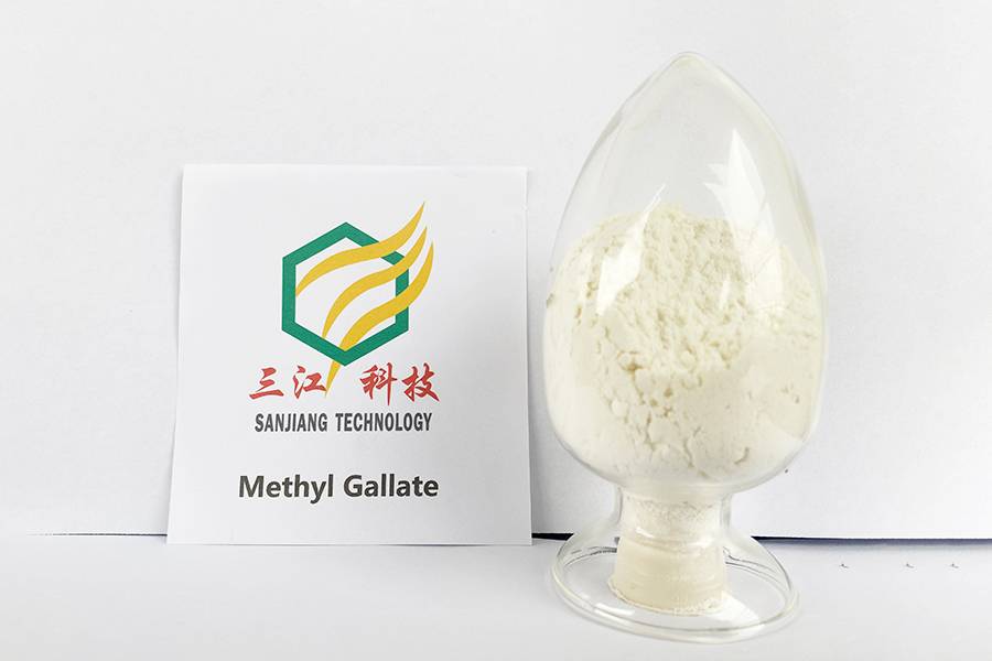 Methyl Gallate Featured Image