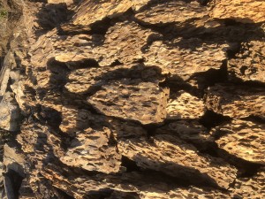 Brown dragon aquairum stone rocks 10-70cm