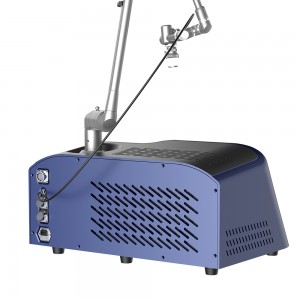 Portable Co2 Fractional Laser machine