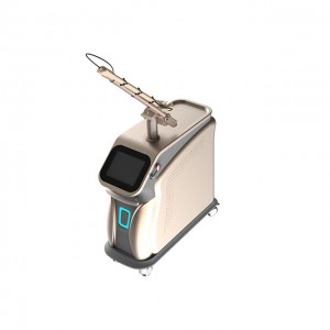 532NM 1065NM Picosecond Laser Tattoo Remover Nd Yag Laser Tattoo Removal