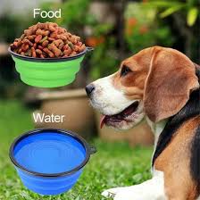 Pet Products in the Silicone Market