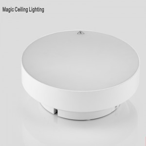 SASELUX 2700K-6500K RGB Magic Ceiling Lighting With Remote Control