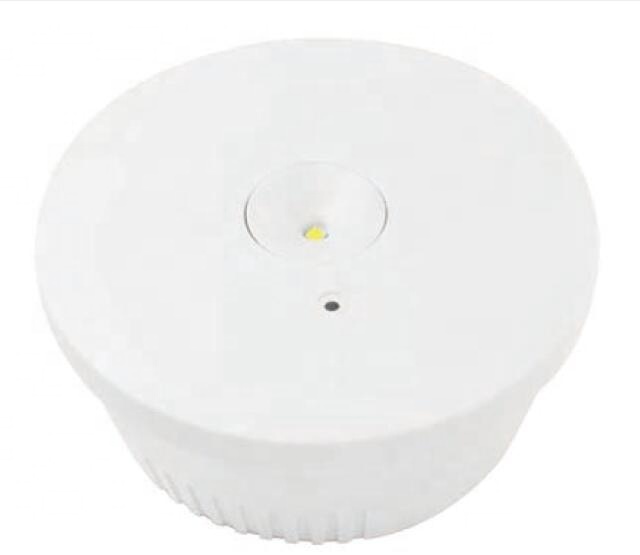 High Quality Motion Detector Lights - Surface&Recessed Mounting LED Emergency Downlight&Exit – SASELUX