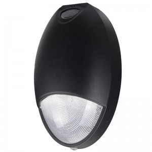 Outdoor LED Emergency Light With Aluminum Body