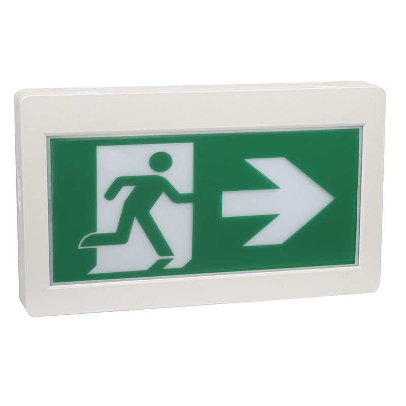 Chinese Professional Emergency Light - UDC Or Battery Operated Emergency Exit Sign – SASELUX