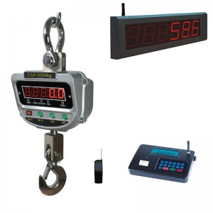 Crane Weighing Scale Wireless Indicators and Remote Display