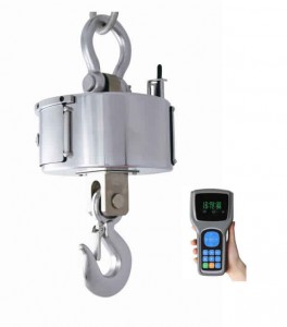 Impact resistant electronic hanging scale with environmental LFP battery