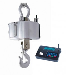 conventional type 1 ton hanging scale with fixed hook and shackle