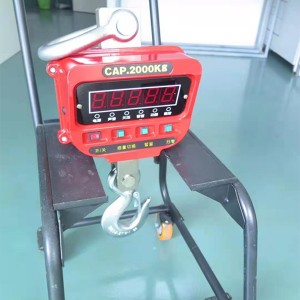 EX Explosion Proof Crane Scale Precision Hanging Scale with Certificate