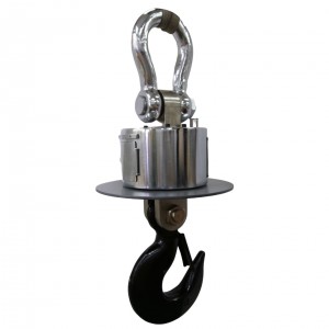 Heat Resistant Type Heavy Duty Industrial Hanging Scale para sa steelworks