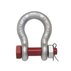 High Quality for China ASTM Standard Secutity Bow Shackle G2130