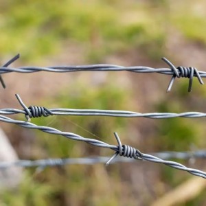 Double twisted chain link fence top barbed wire