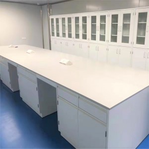 productDurable Acid and Alkali Resistant Lab Bench (1)