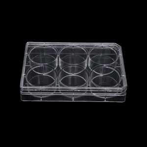 cell culture plate, 6 wells, transparent
