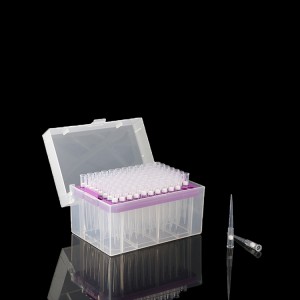 Pipette filter Tips in box