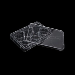 placă de cultură celulară, 6 godeuri, transparentă