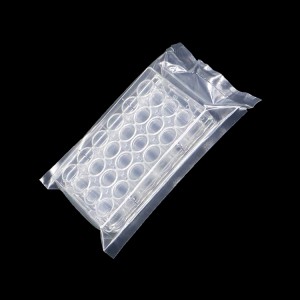 cell culture plate, 24 wells, transparent