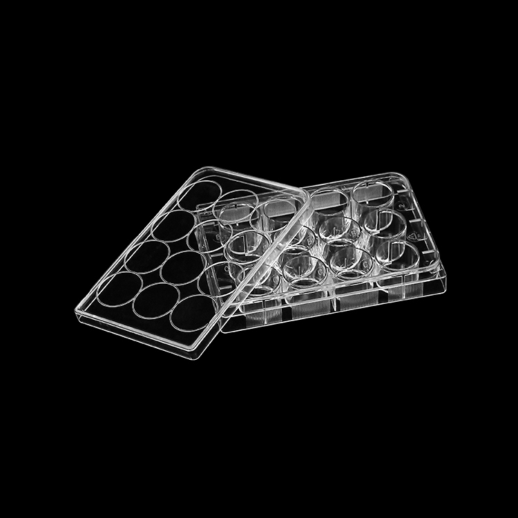 Professional Design 1.5ml V Bottom Micro Tube - cell culture plate, 12 wells, transparent – Labio