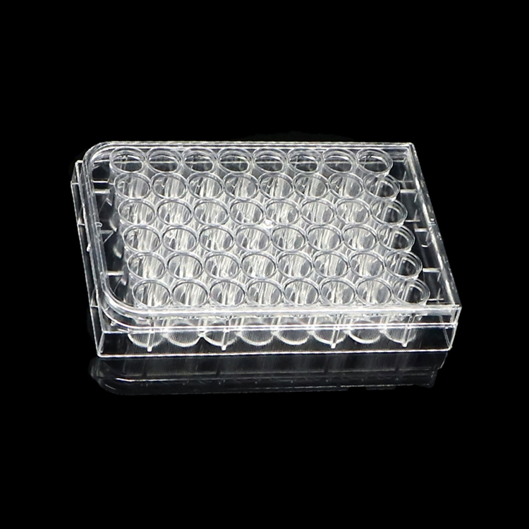 cell culture plate, 48 wells, transparent