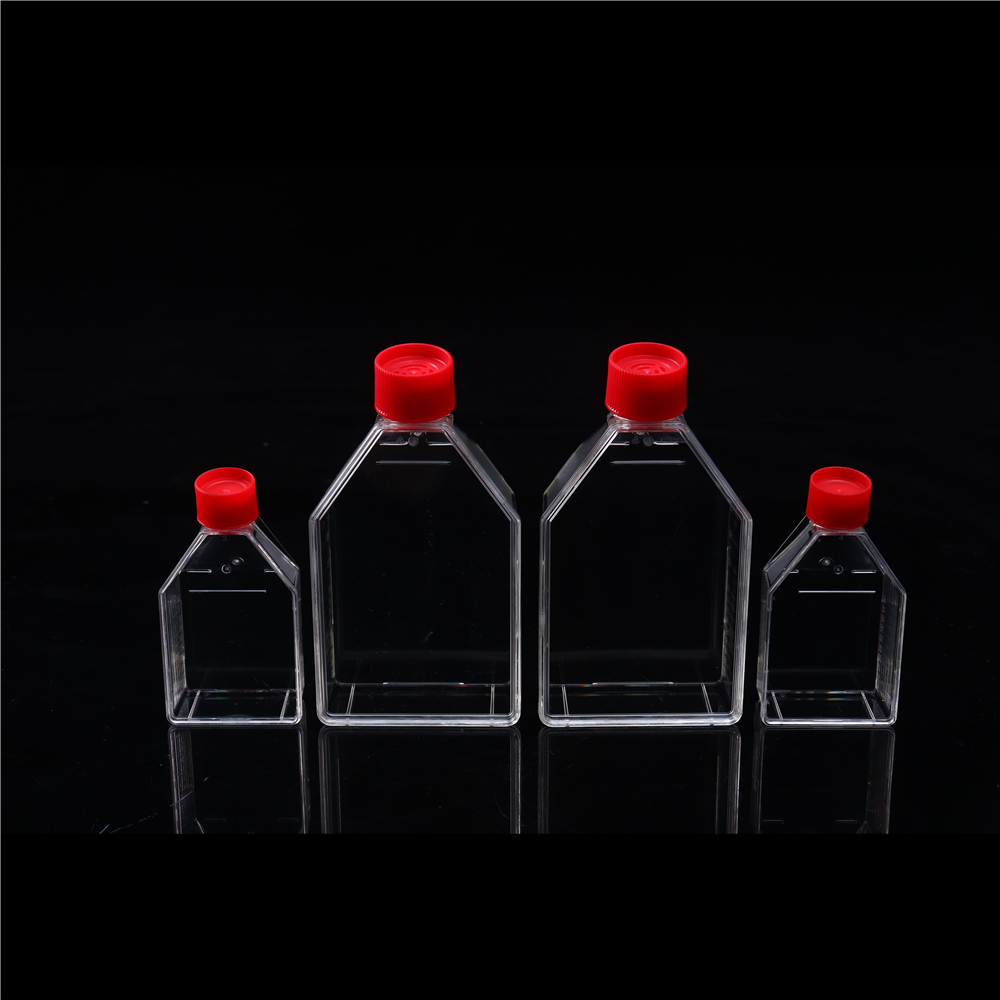 Cell culture flasks