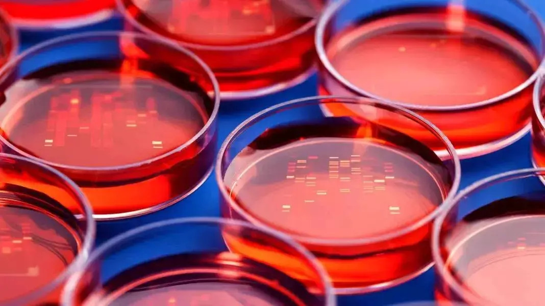 Why TC surface treatment is needed for cell culture consumables?