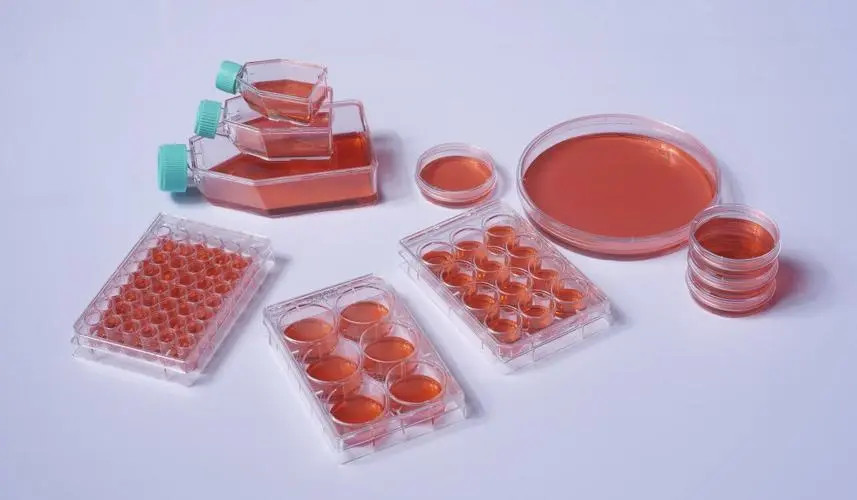 Common specifications of cell culture flask