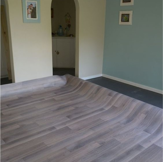 Vinyl flooring: Know definition, types, prices, pros and cons