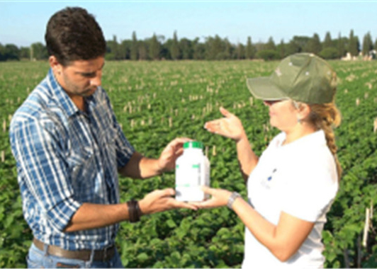 Fungisida baru FMC, Onsuva, akan diluncurkan di Paraguay