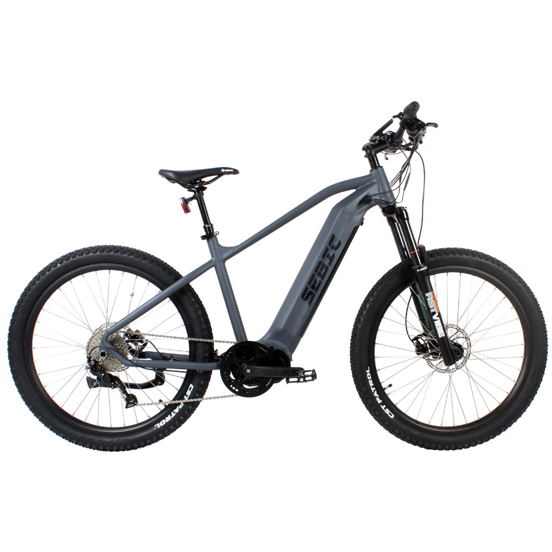 Intro to Electric Bikes – What They Are & How They Work