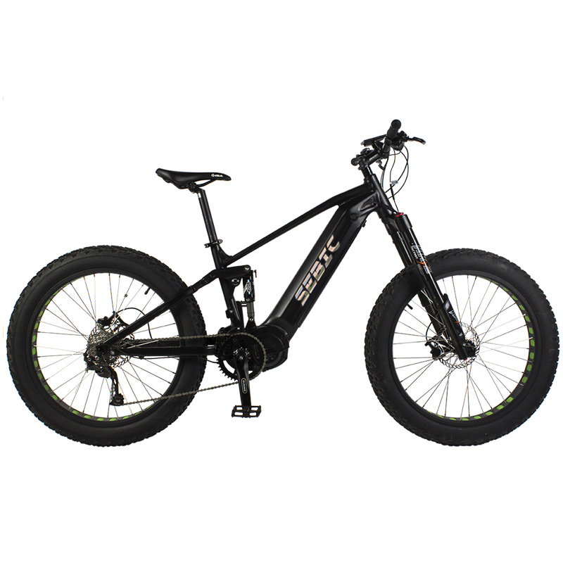 Quality Inspection for Retro Ebike Wholesaler - Full suspension fat tire mid drive motor 1000W  mountain electric bike – Funncycle detail pictures