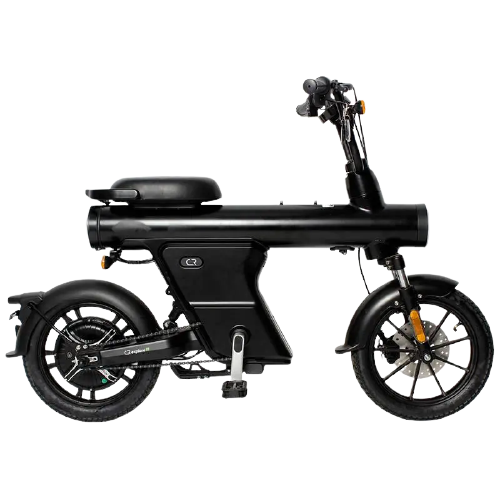 SEBIC 20″ 48V 500W rear motor 12.5Ah single speed fat electric bike（Model：GUN） Featured Image