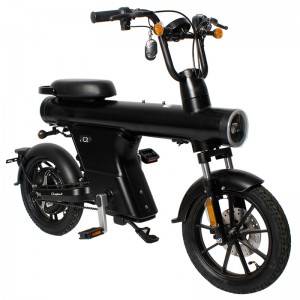SEBIC 20″ 48V 500W rear motor 12.5Ah single speed fat electric bike（Model：GUN）