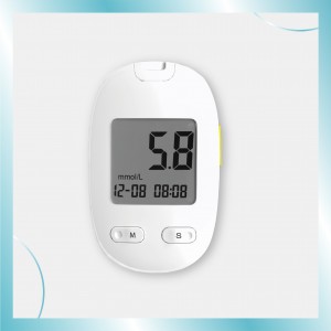 Blood Glucose Monitoring System-205