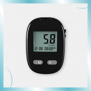 Blood Glucose Monitoring System-707