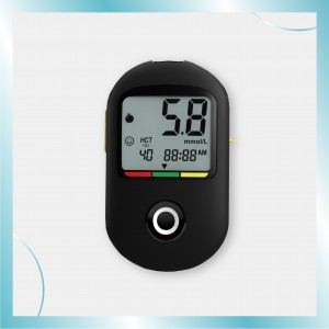 Blood Glucose Monitoring System-710