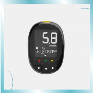 Blood Glucose Monitoring System BG – 717b Oval