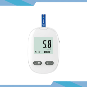 Manufacturer of China Portable Blood Glucose Monitor System