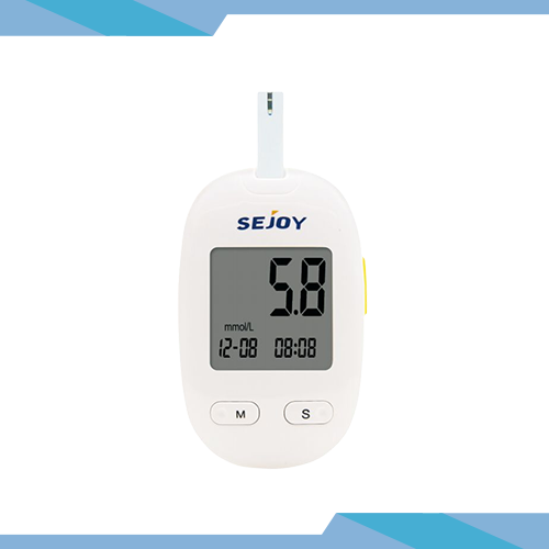 Blood Glucose Monitoring System-205