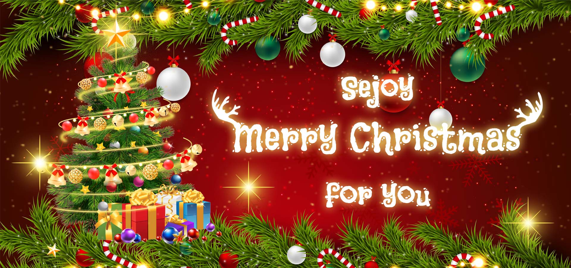 Sejoy Merry Christmas for you！
