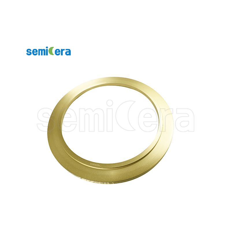 Customized Tantalum Carbide Coated Ring