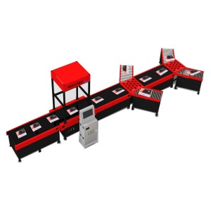 Conveyor Automatic Dws Sorting Machine Warehouse Logistic conveyor System e-commerce parcel sorting machine