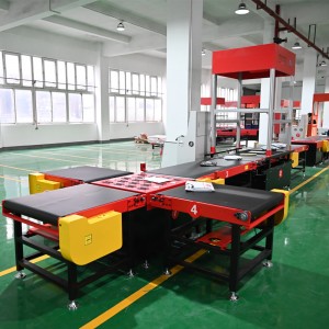 Dws parcel sorting machine High Speed Sortation System for Courier Express and Parcel Companies