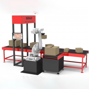 Wholesale Wms Warehouse Management Systems - Warehouse intelligent robotic arm parcel sorting – Senad