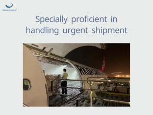 Professional cosmetics freight forwarder provide air cargo shipping services from China to Trinidad and Tobago by Senghor Logistics