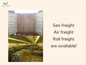 Sea freight quotation from China to Spain transport services by Senghor Logistics
