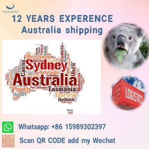 Big and heavy machine door to door sea freight service from china to Australia freight forwarder