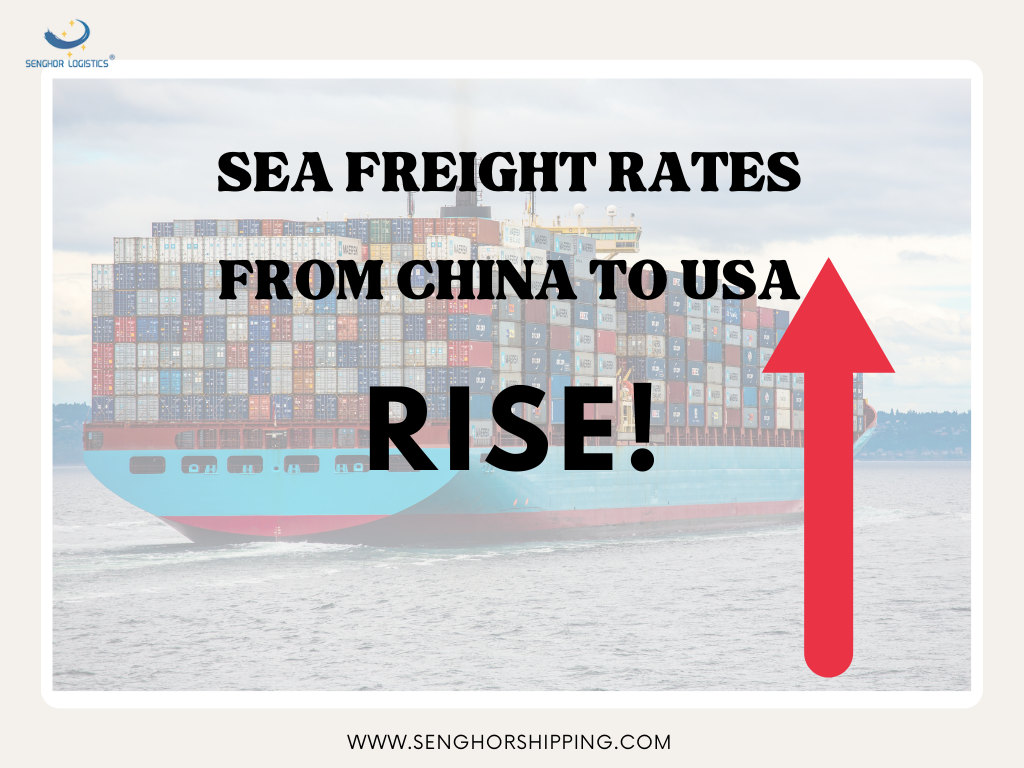 Has the US shipping space exploded? (The price of sea freight in the United States has skyrocketed by 500USD this week)